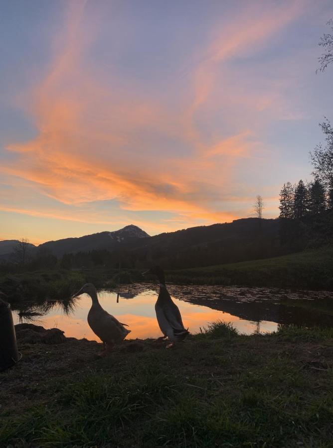 Hotel Garni Wieshof Kirchberg in Tirol Dış mekan fotoğraf