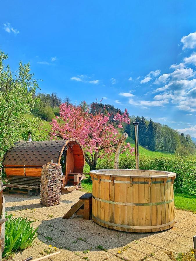 Hotel Garni Wieshof Kirchberg in Tirol Dış mekan fotoğraf