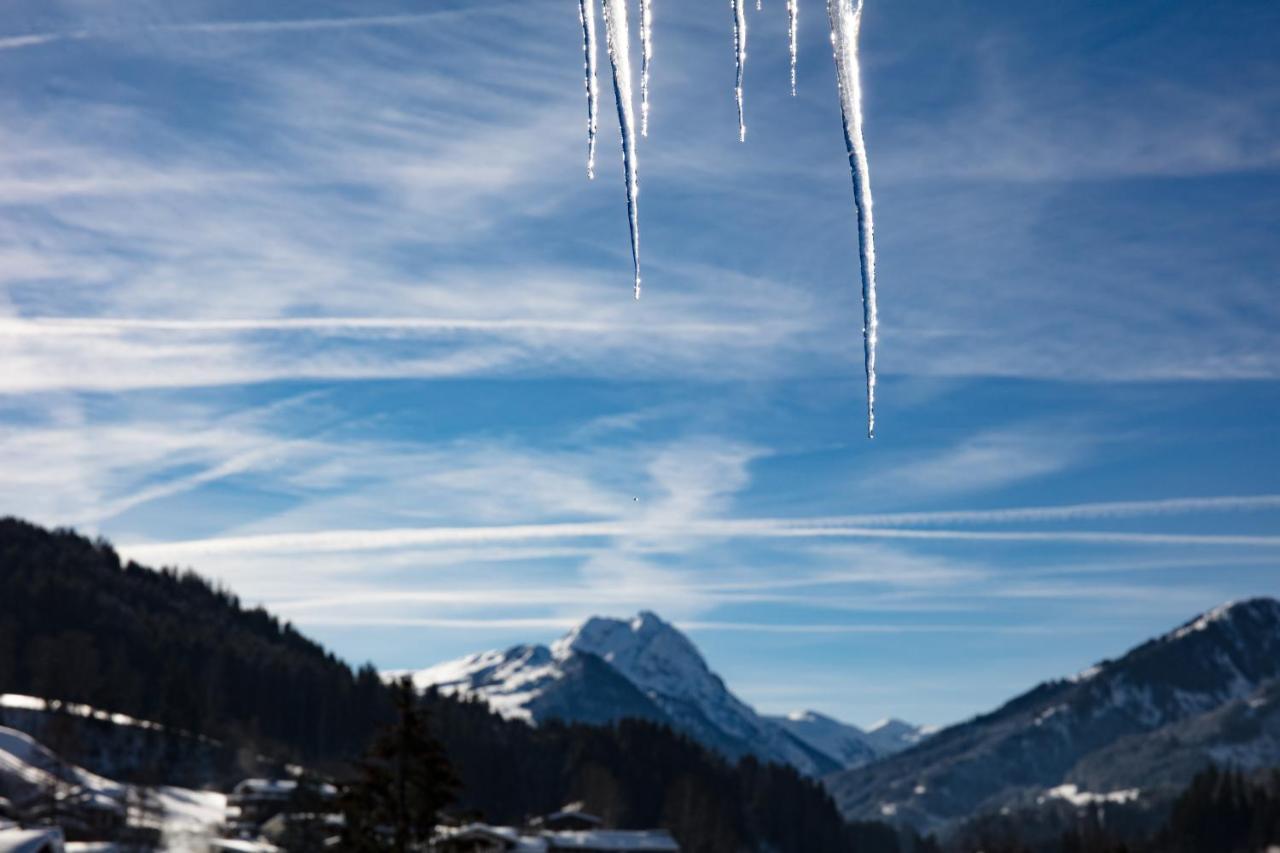 Hotel Garni Wieshof Kirchberg in Tirol Dış mekan fotoğraf