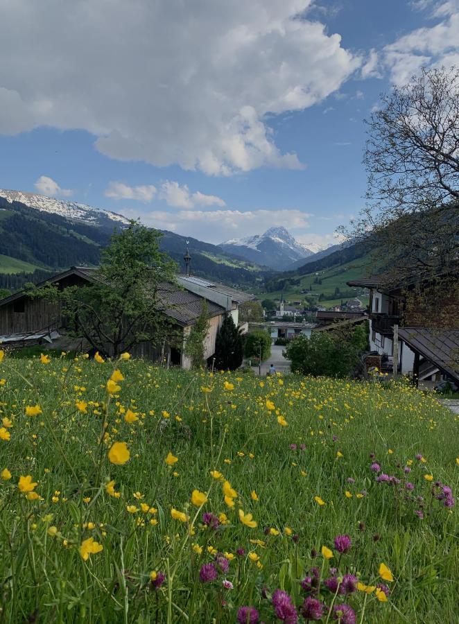 Hotel Garni Wieshof Kirchberg in Tirol Dış mekan fotoğraf