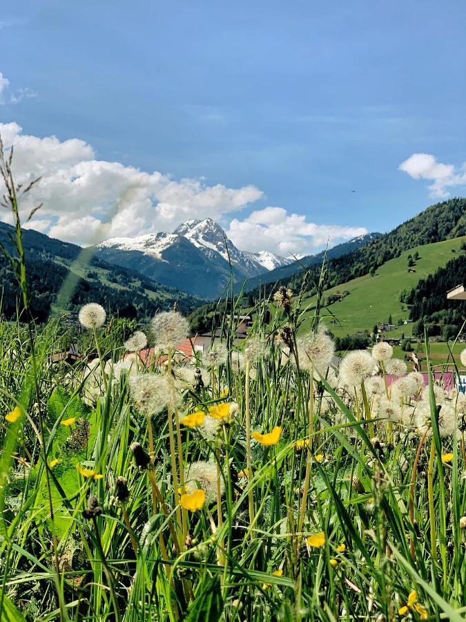 Hotel Garni Wieshof Kirchberg in Tirol Dış mekan fotoğraf